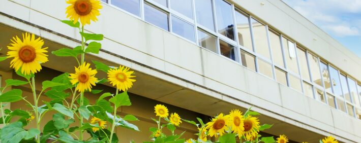 学校で行うべき熱中症対策11選