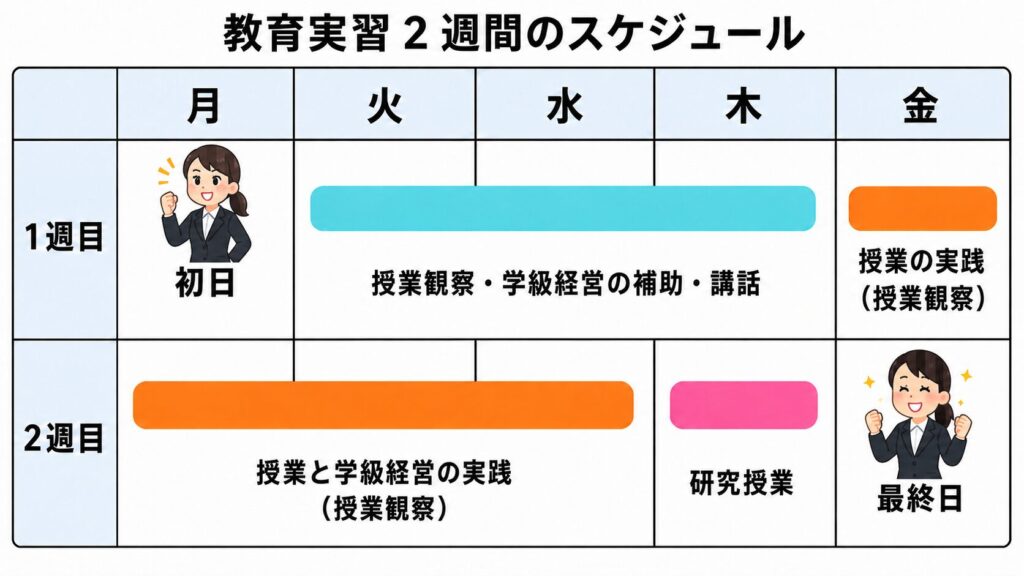 2週間の教育実習スケジュール