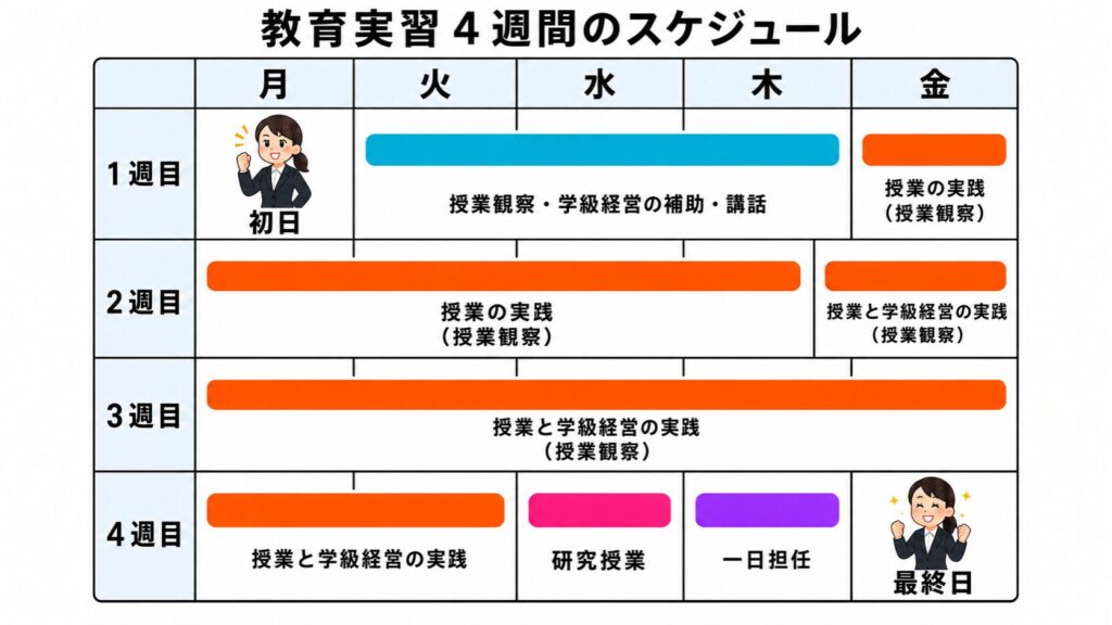 4週間の教育実習スケジュール