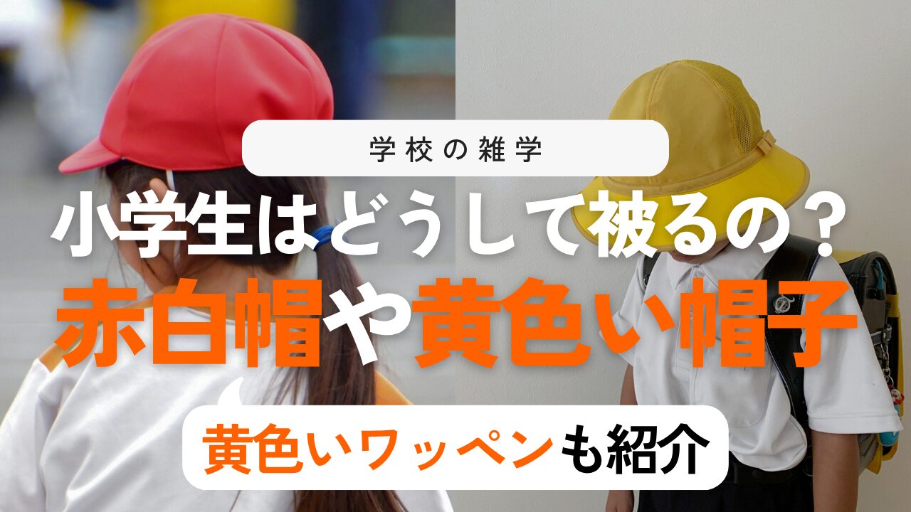 なぜ赤白帽？黄色い帽子とワッペンに隠された歴史と由来を徹底解説