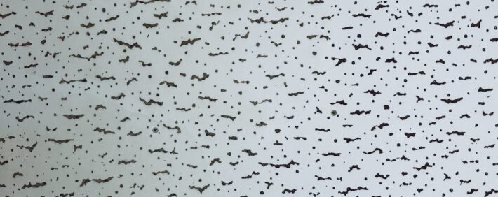 教室の天井にある変な模様の3つの秘密